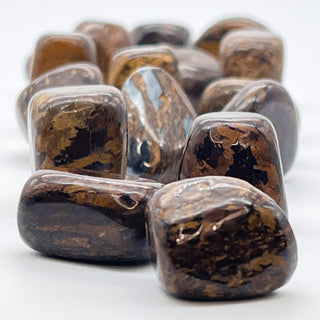 Bronzite [The Self-Assured Presence] Tumble Stone