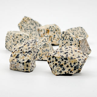 Dalmatian Jasper [The Focused Protector] Raw Stone