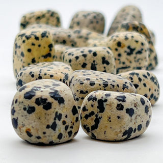 Dalmatian Jasper [The Focused Protector] Tumble Stone
