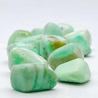 Green Chrysoprase [The Balanced Renewal] Tumble Stone