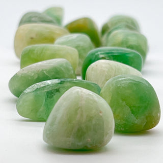 Green Fluorite [The Focused Thinker] Tumble Stone
