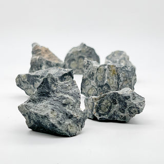 Kambaba Jasper [The Grounded Equilibrium] Raw Stone
