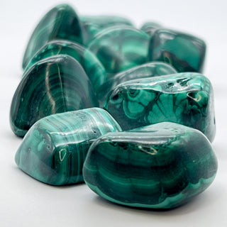 Malachite [The Protective Powerhouse] Tumble Stone