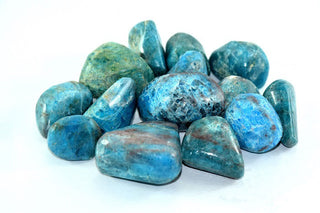 Blue Apatite [The Disciplined & Satisfied] Tumble Stone